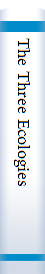 The Three Ecologies
