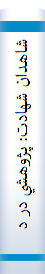 شاهدان شهادت: پژوهشي در ديدگاه قرآن و سيره نظري و عملي معصومين عليهمالسلام درباره بازماندگان شهدا و ايتام