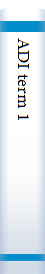 ADI term 1
