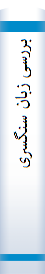 بررسی زبان سنگسری