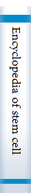 Encyclopedia of stem cell research