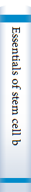 Essentials of stem cell biology