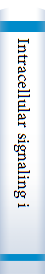 Intracellular signaling in plants