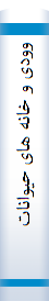 وودی و خانه های حیوانات
