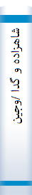 شاهزاده و گدا /وجین