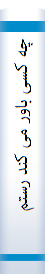 چه کسی باور می کند رستم