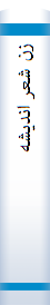 زن‌ شعر انديشه‌
