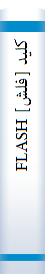 کليد [فلش] FLASH