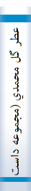 عطر گل محمدي (مجموعه داستانهاي عبرت انگيز)
