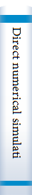 Direct numerical simulation for turbulent reacting flows