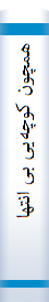 همچون‌ کوچه‌یی‌ بی‌ انتها‌: گزینه‌یی‌ از اشعا‌ر شا‌عران‌ بزرگ‌ جها‌ن‌