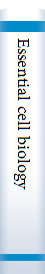 Essential cell biology