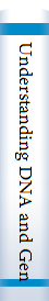 Understanding DNA and Gen : A Guide for the curious