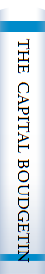 THE CAPITAL BOUDGETING DECISION : Economic Analysis and Financing of Investment Projects