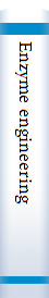 Enzyme engineering
