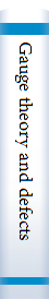 Gauge theory and defects in solids /