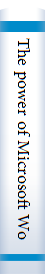 The power of Microsoft Word 4.0: including style sheets & desktop publishing