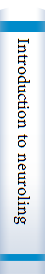Introduction to neurolinguistics