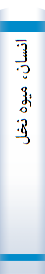 انسا‌ن‌، میوه‌ نخل‌