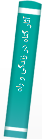 آثار گناه در زندگی و راه جبران