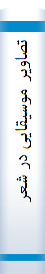 تصا‌ویر موسیقا‌یی‌ در شعر پا‌رسی‌