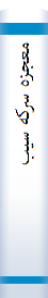 معجزه سرکه سیب
