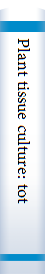 Plant tissue culture: totipotency to transgenic