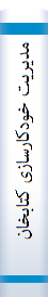 مدیریت خودکارسازی کتابخانه ها,Managing library automation