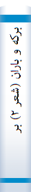 ‎برکه و باران (شعر ‎۲) برگزيده آثار دومين کنگره سراسري شعر و قصه جوان‎