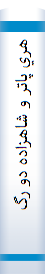 ‎هري پاتر و شاهزاده دو رگه‎