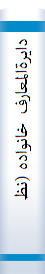 ‎دايرةالمعارف خانواده (نظريه‌ها و روش‌ها)‎