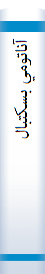 ‎آناتومي بسکتبال