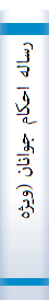 رساله احكام جوانان (ويژه پسران)