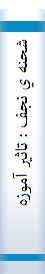 شحنه ي نجف : تاثير آموزه هاي نهج البلاغه ي مولي الموالي امام علي عليه السلام در اشعار لسان الغيب حافظ  ، شيرازي (ره ) همراه با كراماتي از جمال السالكين..